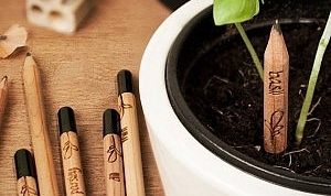 DEMO GIFT GUIDE WITH PRODUCTS