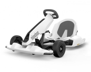 Segway Electric GoKart Dri...